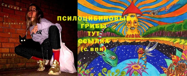 соль ск Бронницы