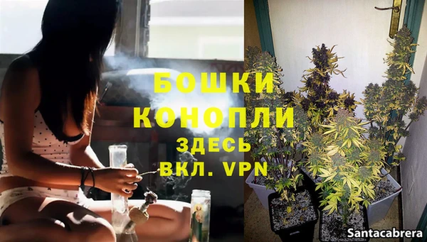 соль ск Бронницы